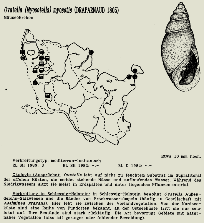 map c LANU-Schleswig-Holstein       drawing  c Projektgruppe Molluskenkartierung 